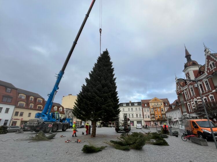 Bild: ©Stadt Finsterwalde/Susanne Dobs