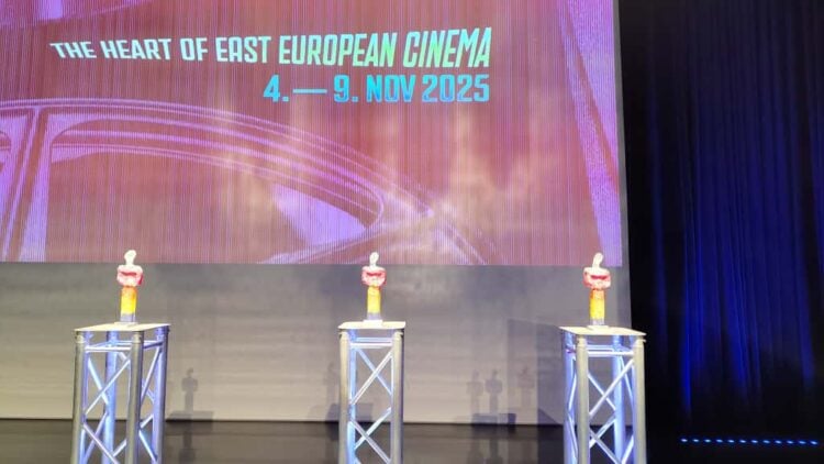 35. Filmfestival Cottbus