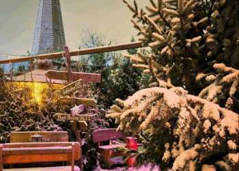 Cottbuser Winterwald eröffnet! Hüttenzauber lädt zum Verweilen ein