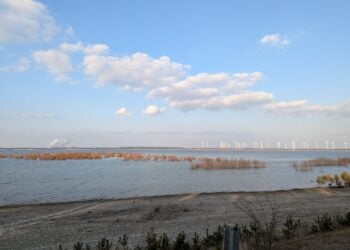 Grünes Licht: Die Lausitz wird Europas erstes Net Zero Valley!