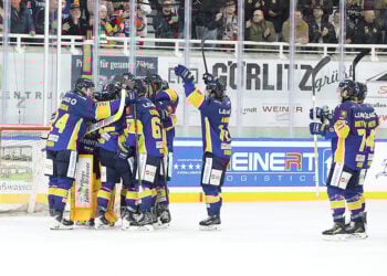 Lausitzer Füchse; Foto: Thomas Heide