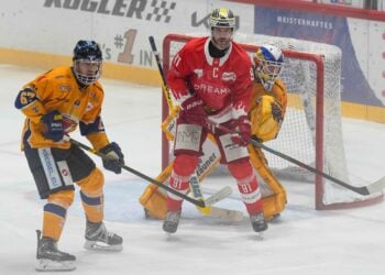 Bad Nauheim gegen die Lausitzer Füchse; Foto: A. Chuc