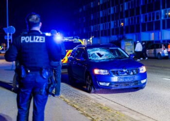 Person und Hund bei Verkehrsunfall in Cottbus schwer verletzt