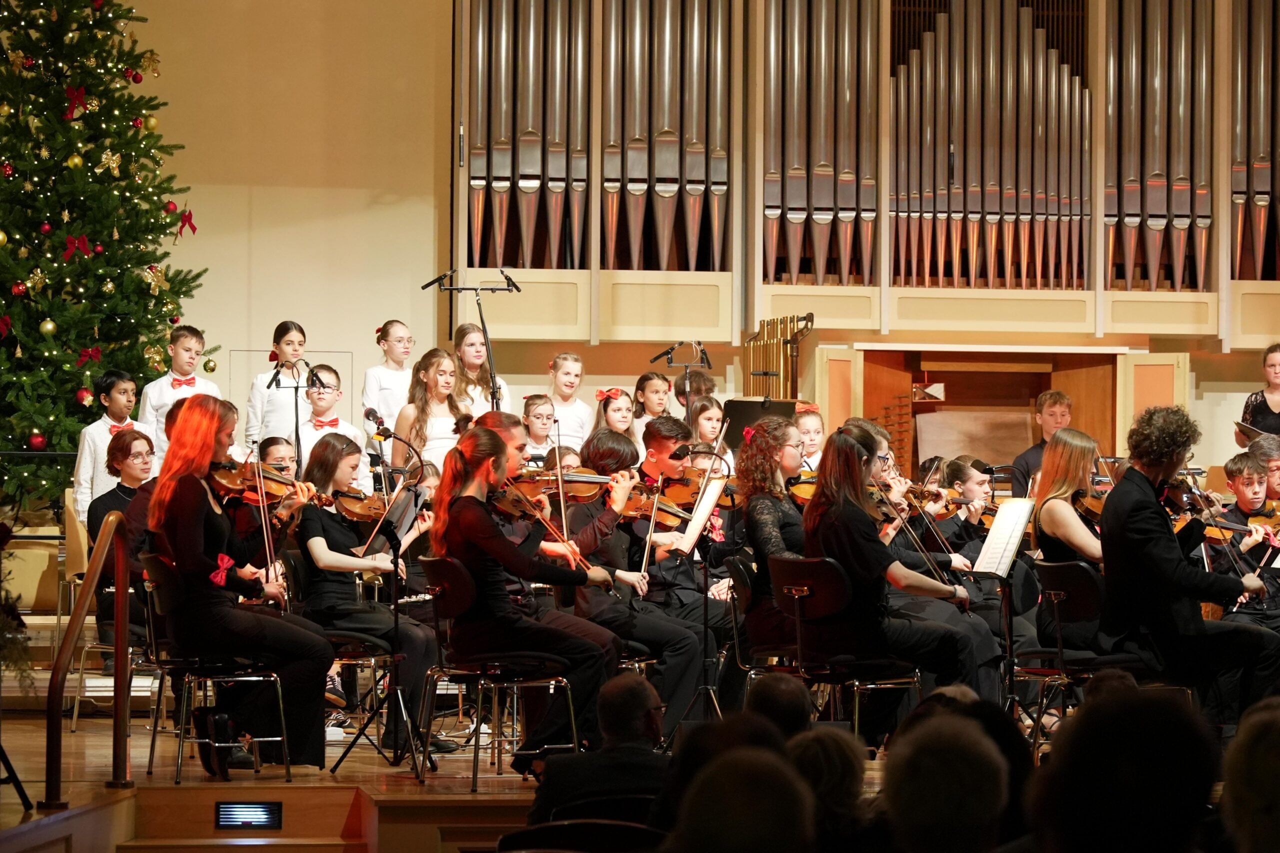 Musikerinnen und Musiker des Konservatorium Cottbus beim Rotary-Weihnachtskonzert