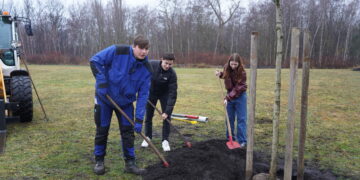 Baumpflanzaktion in Schwarzheide: Azubis schlagen Wurzeln