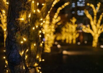 Trends 2025: Was ist neu bei der Weihnachtsbeleuchtung für draußen?