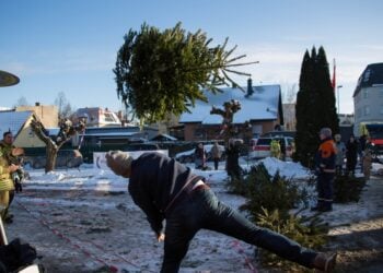 11. Weihnachtsbaum-Weitwurf war wieder ein Erfolg