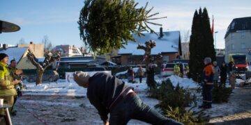 11. Weihnachtsbaum-Weitwurf war wieder ein Erfolg