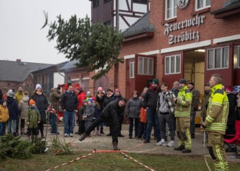 Bei der Feuerwehr in Ströbitz fliegen wieder die Weihnachtsbäume