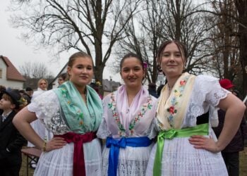 Fastnacht 2026 – Cottbus-Ströbitz treibt heute den Winter aus
