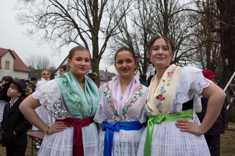 Fastnacht 2026 – Cottbus-Ströbitz treibt heute den Winter aus
