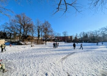DLRG warnt vor Betreten zugefrorener Gewässer in Cottbus