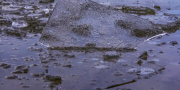 JordanHoliday auf Pixabay