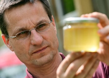 Bio-Honig aus der Lausitz auf Handwerkermesse 2026 erleben