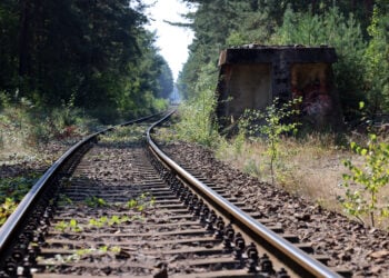 Senftenberg erinnert an Auschwitz-Befreiung mit Zeitzeugen