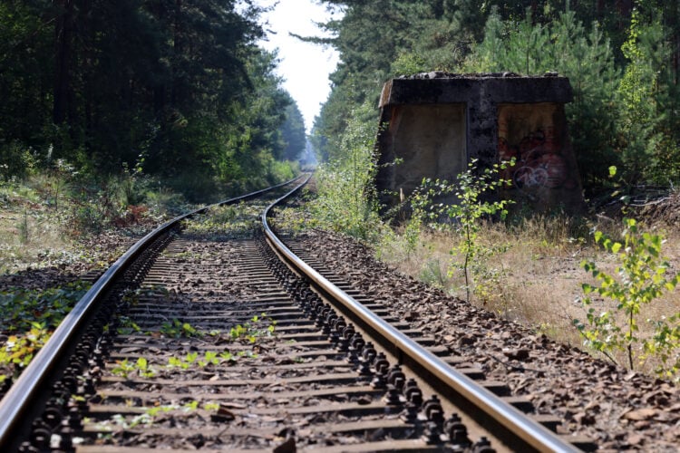 Senftenberg erinnert an Auschwitz-Befreiung mit Zeitzeugen