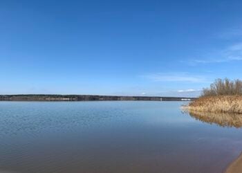 Schutz der Talsperre Spremberg: Illegale Waldwege werden gesperrt