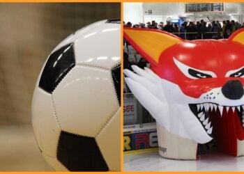 Sport: Füchse mit wechselhafter Woche, Energie-Traditionself Platz vier