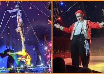 Siebter Weihnachtscircus begeistert erneut das Publikum in Cottbus