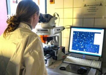 Cottbus: BTU lädt zum Orientierungsangebot „Wissenschaft trifft Schule“