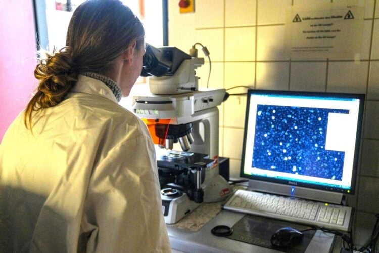 Cottbus: BTU lädt zum Orientierungsangebot „Wissenschaft trifft Schule“