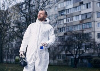Schädlinge nach Jahreszeit: Typische Befallsbilder in Frankfurt