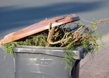 Witterungsverhältnisse: Müllentsorgung in Spree-Neiße heute ausgesetzt