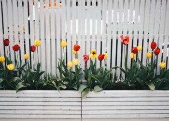 Die Vorteile von Zäunen aus Polen: Qualität trifft auf Kosteneffizienz