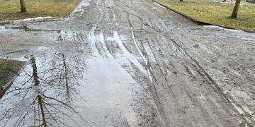 Bild: Stadt Forst (Lausitz)