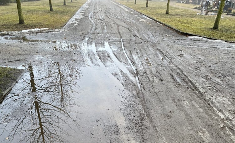 Bild: Stadt Forst (Lausitz)