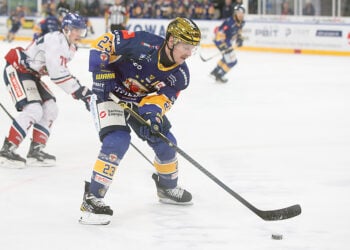 Foto: Lausitzer Füchse