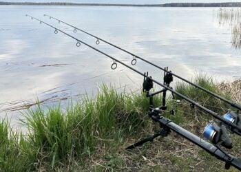 Bild: Landkreis OSL/Sarah Werner