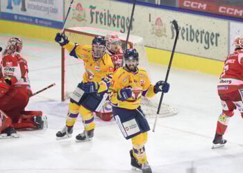 Lausitzer Füchse erreichen Vierteilfinale der Playoffs; Foto: Lausitzer Füchse