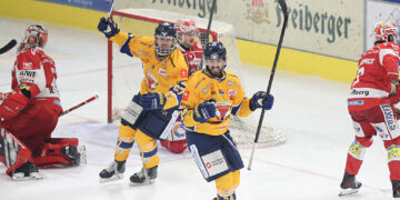 Lausitzer Füchse erreichen Vierteilfinale der Playoffs; Foto: Lausitzer Füchse