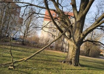 Bild: © Stadt Finsterwalde/Anna-Lena Aßmus