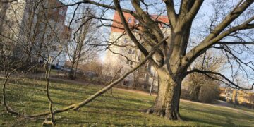 Bild: © Stadt Finsterwalde/Anna-Lena Aßmus
