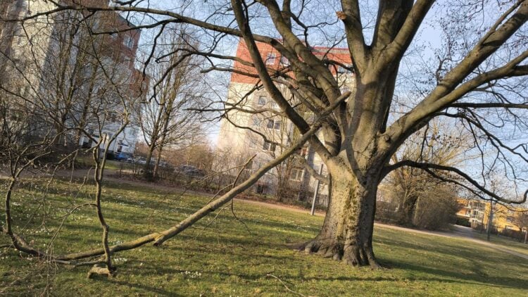 Bild: © Stadt Finsterwalde/Anna-Lena Aßmus