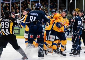 Die Lausitzer Füchse siegen in Kassel; Foto: Lausitzer Füchse, Jan Diekmann