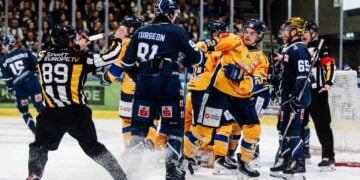 Die Lausitzer Füchse siegen in Kassel; Foto: Lausitzer Füchse, Jan Diekmann