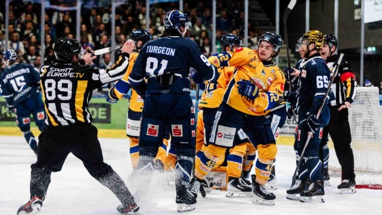 Die Lausitzer Füchse siegen in Kassel; Foto: Lausitzer Füchse, Jan Diekmann