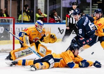 Lausitzer Füchse gegen Kassel Huskies; Foto: Lausitzer Füchse