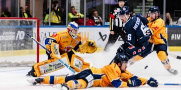 Lausitzer Füchse gegen Kassel Huskies; Foto: Lausitzer Füchse
