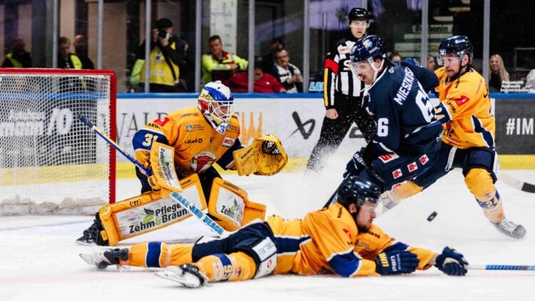 Lausitzer Füchse gegen Kassel Huskies; Foto: Lausitzer Füchse