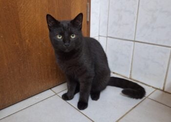 Terra Mater Tierheim 