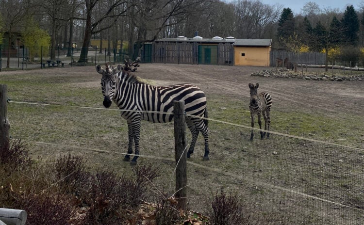 Bild: Stadt Finsterwalde / Anna-Lena Aßmus