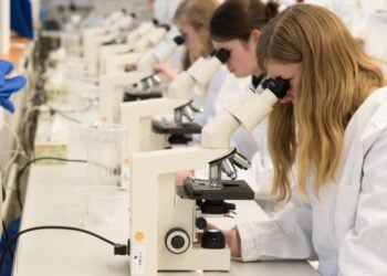 Bild: BTU, Ralf Schuster