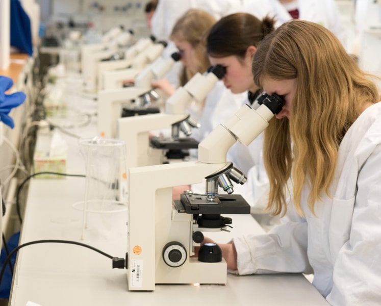 Bild: BTU, Ralf Schuster