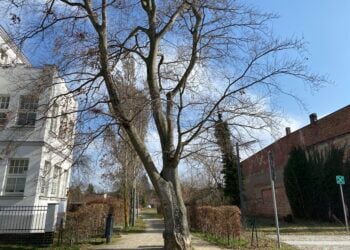 Bild: © Stadt Finsterwalde/Anna-Lena Aßmus