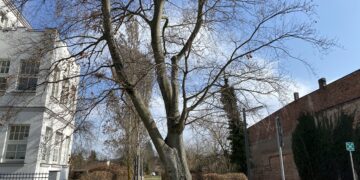 Bild: © Stadt Finsterwalde/Anna-Lena Aßmus