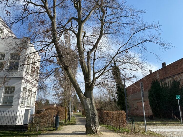 Bild: © Stadt Finsterwalde/Anna-Lena Aßmus